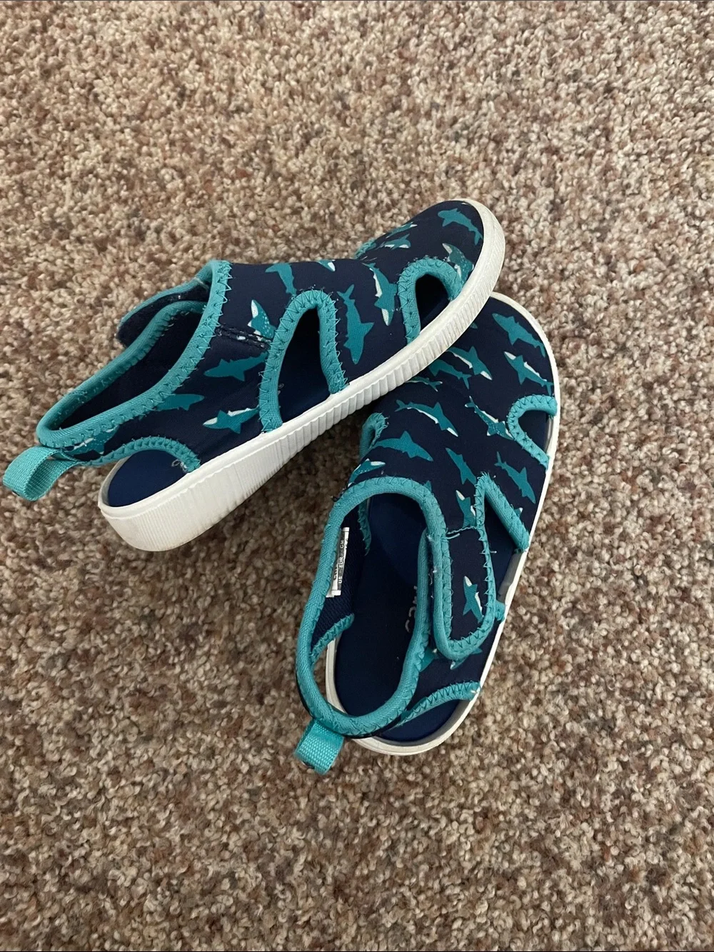 Carter's Navy & Teal Shark Water Shoes